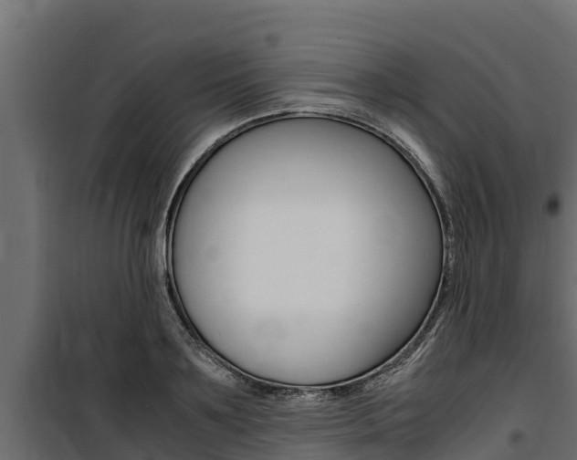 X0000100770891200806190930