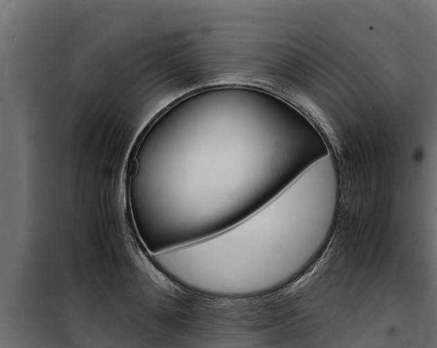X0000100770892200806190930
