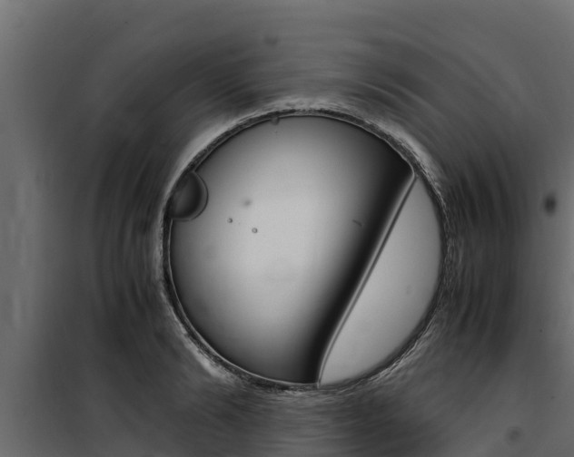 X0000100770894200806190930