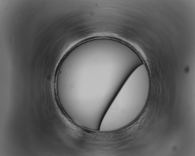 X0000100770895200806190930