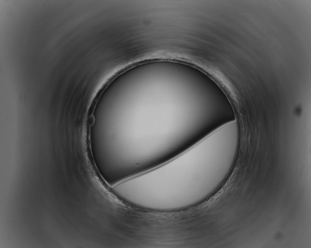 X0000100770896200806190930