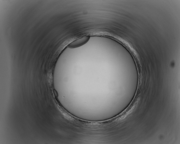 X0000100770897200806190930