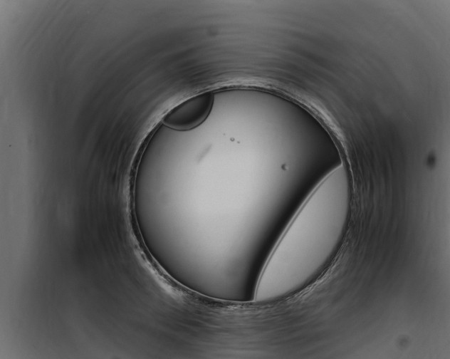 X0000100770898200806190930
