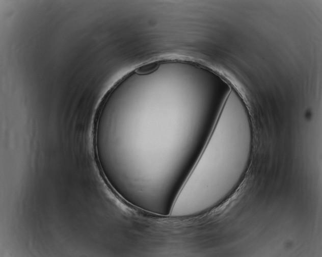 X0000100770902200806190930