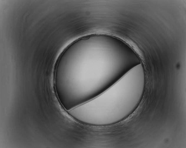 X0000100770904200806190930