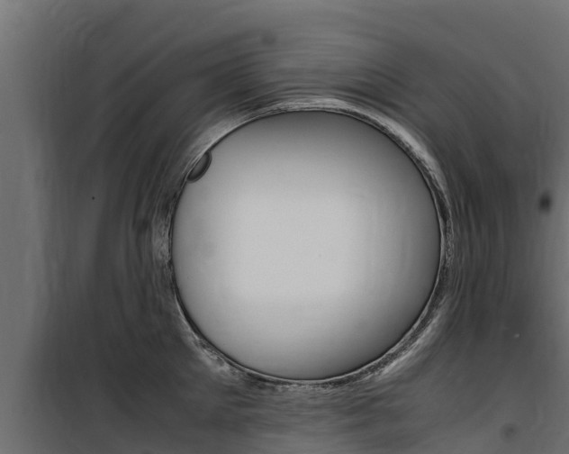 X0000100770905200806190930