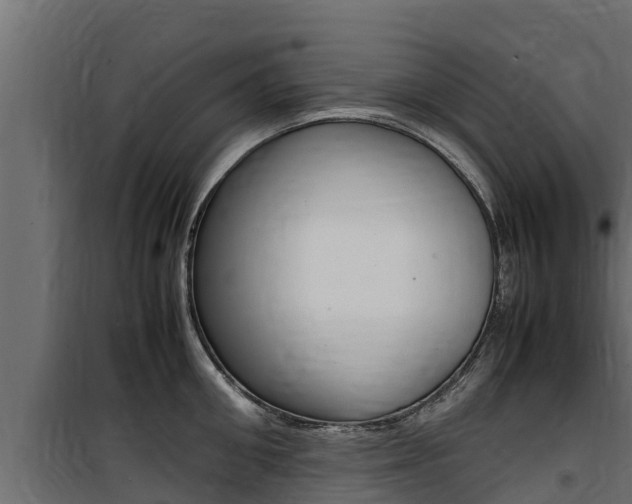 X0000100770906200806190930
