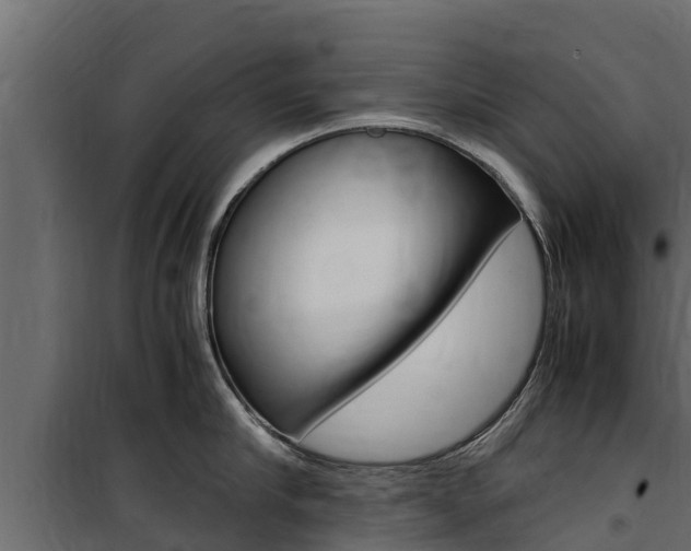 X0000100770910200806190930