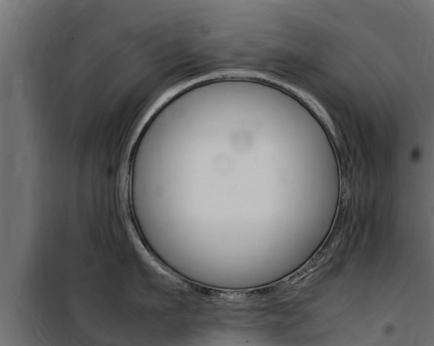 X0000100770911200806190930