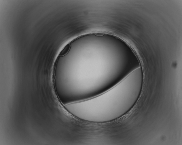 X0000100770912200806190930