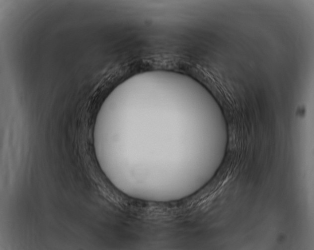 X0000100770913200806190929