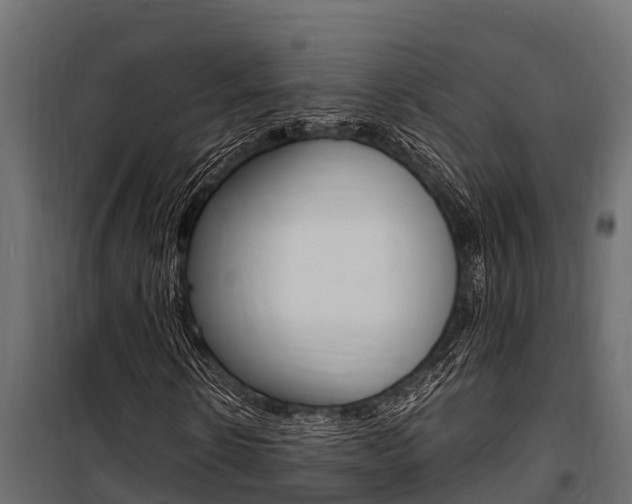 X0000100770914200806190929