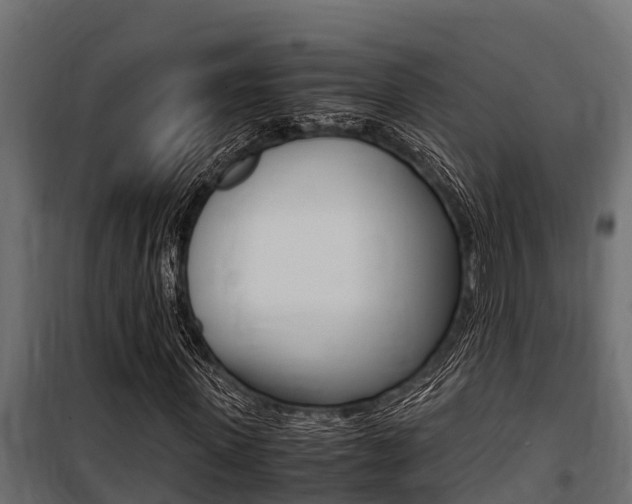 X0000100770915200806190929