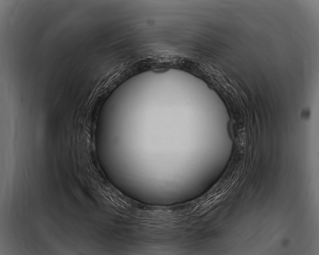 X0000100770916200806190929