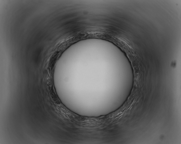 X0000100770917200806190929