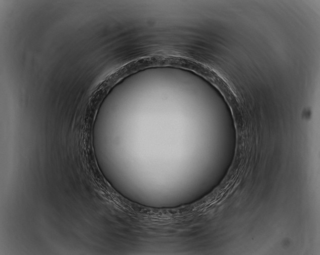 X0000100770919200806190929