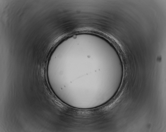 X0000100770921200806190929