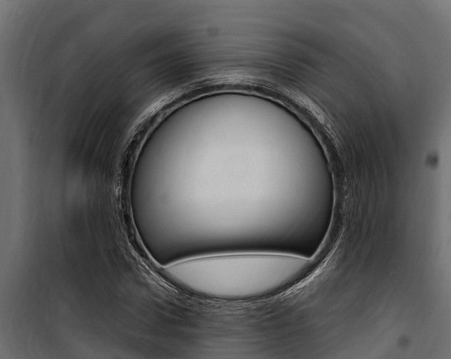 X0000100770922200806190929