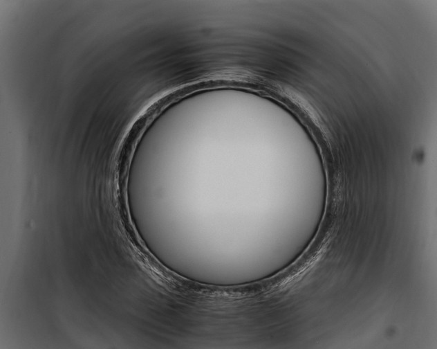 X0000100770923200806190929
