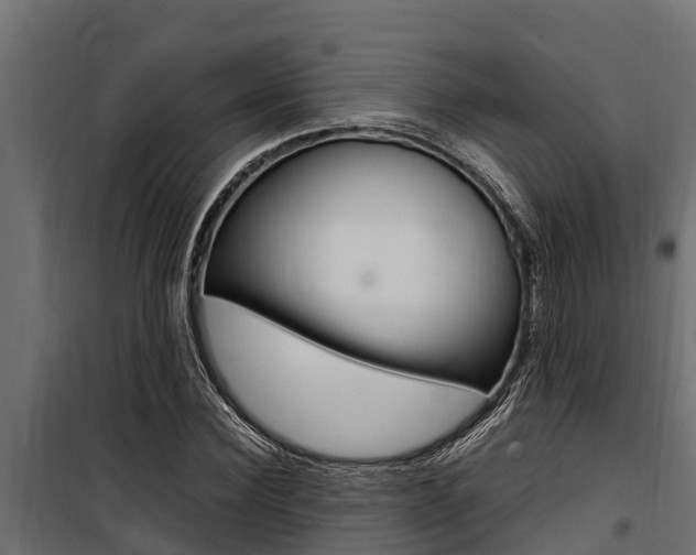 X0000100770924200806190929