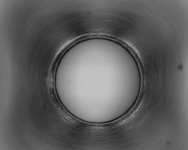 X0000100770925200806190929