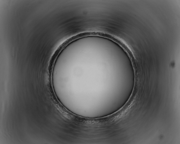 X0000100770927200806190929