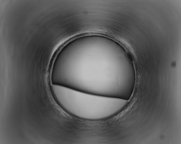 X0000100770928200806190929