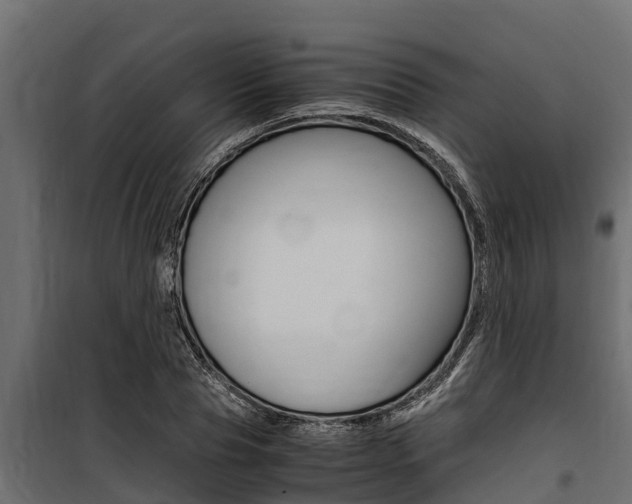 X0000100770929200806190929