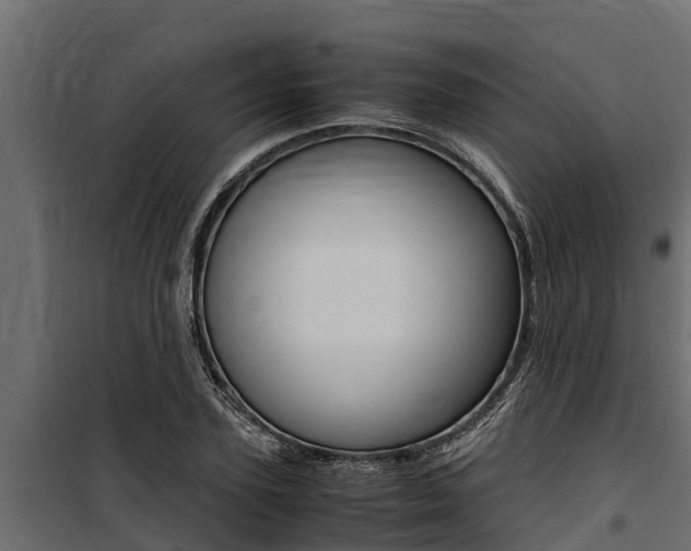 X0000100770931200806190929