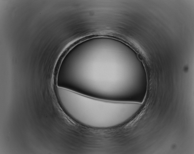 X0000100770932200806190929