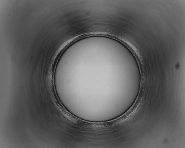 X0000100770933200806190929