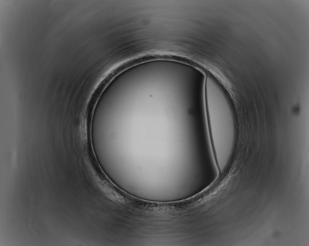 X0000100770934200806190929