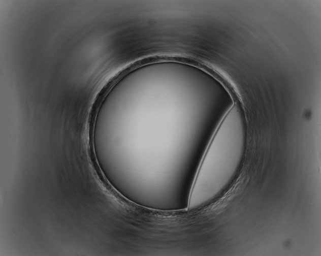 X0000100770935200806190929