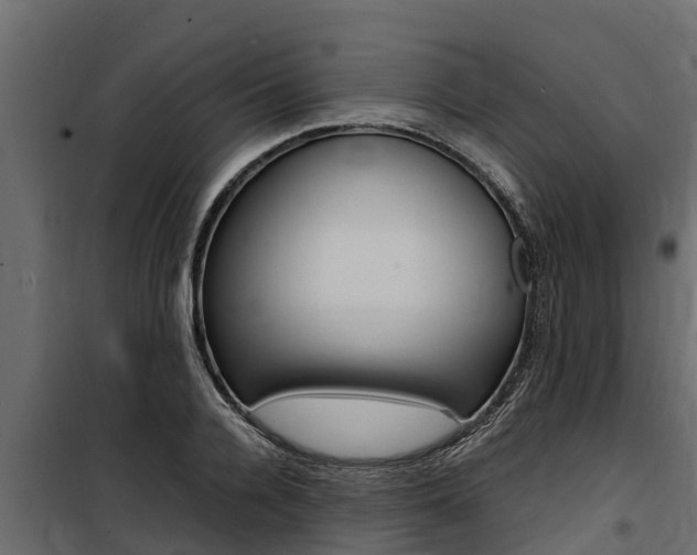 X0000100770936200806190929