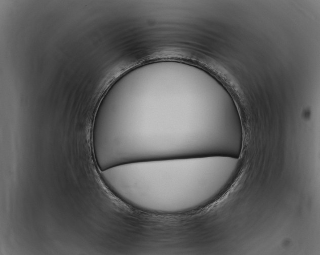 X0000100770937200806190929