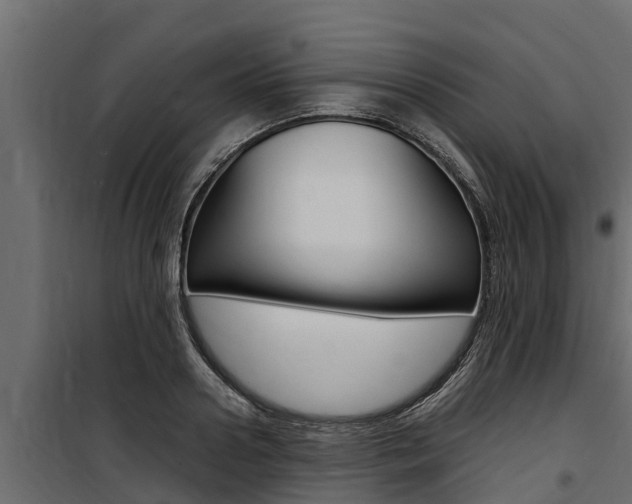 X0000100770938200806190929