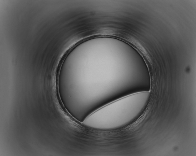 X0000100770939200806190929