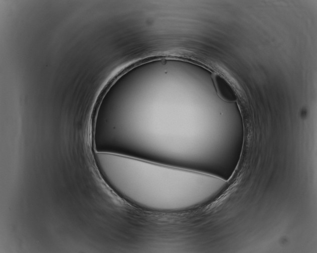 X0000100770940200806190929