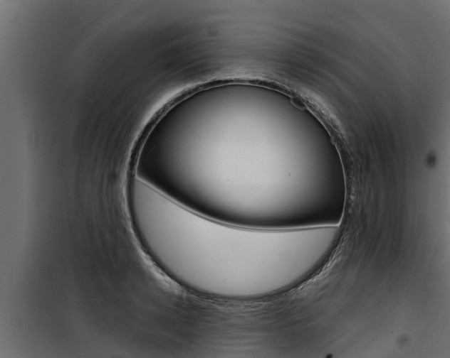 X0000100770942200806190929