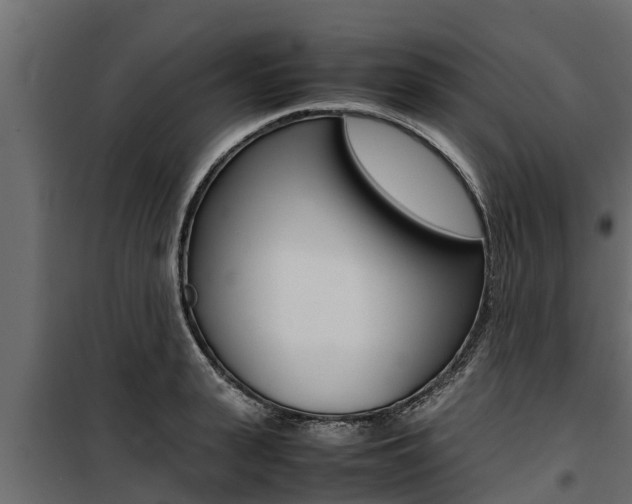 X0000100770943200806190929