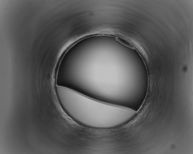 X0000100770944200806190929