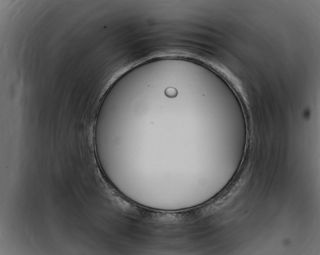 X0000100770945200806190929