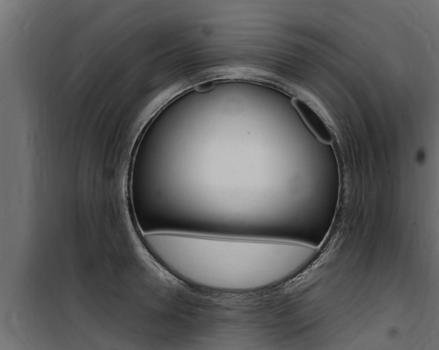 X0000100770946200806190929