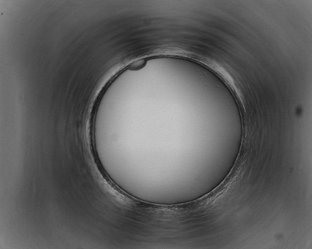 X0000100770947200806190929