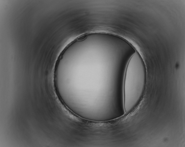 X0000100770949200806190929