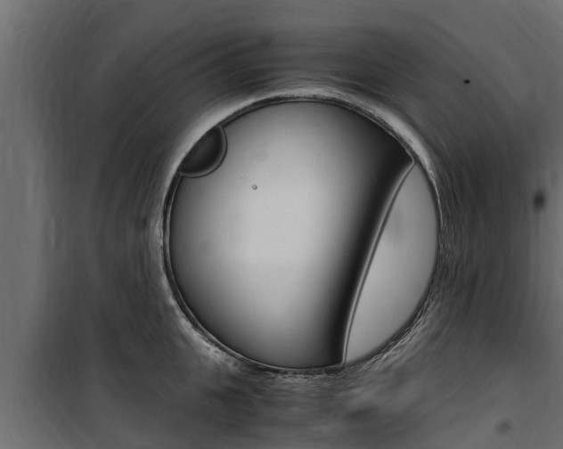 X0000100770951200806190929