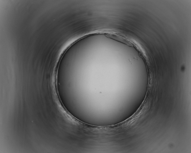 X0000100770952200806190929