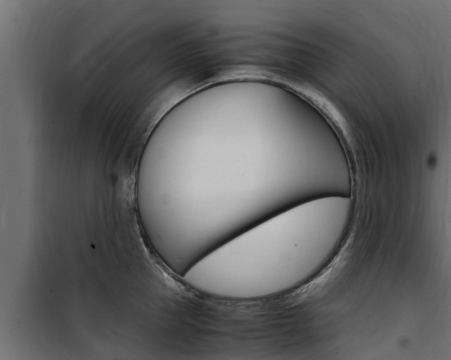 X0000100770953200806190930