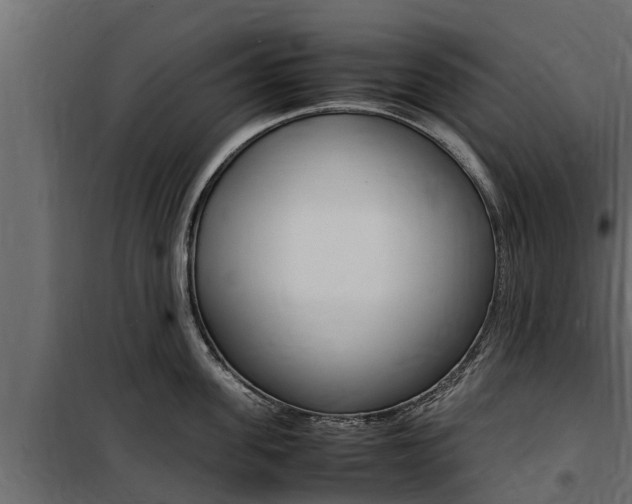 X0000100770955200806190930