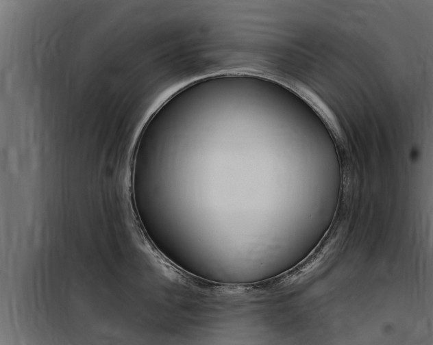 X0000100770956200806190930